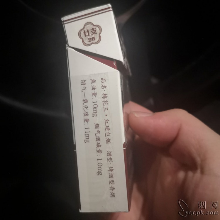 梅花王硬红相册