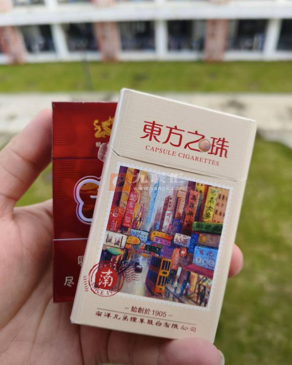 双喜(东方之珠)相册
