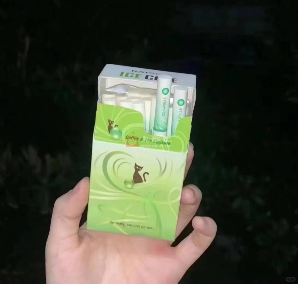 铁塔猫(奶油爆珠)相册