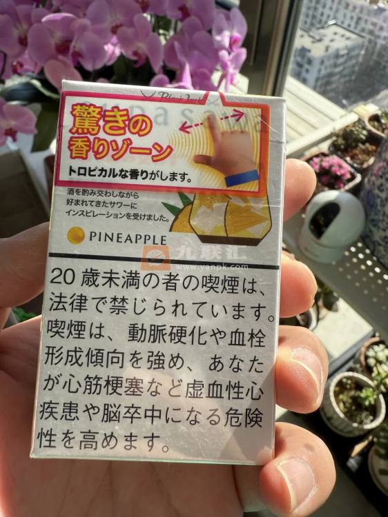 黑杰克(菠萝爆珠8mg日版)相册