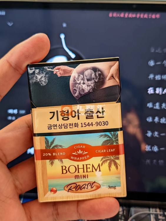 Bohem(Mini Roast)相册