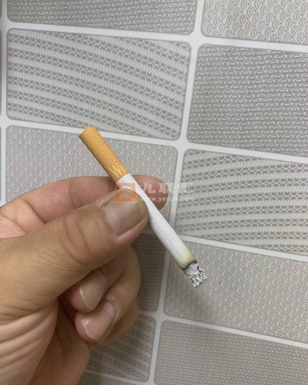 云斯顿(硬红葡萄牙版)相册