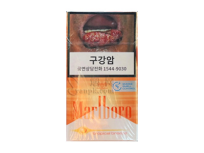 万宝路(热带风味韩版)卷烟点评和品牌介绍
