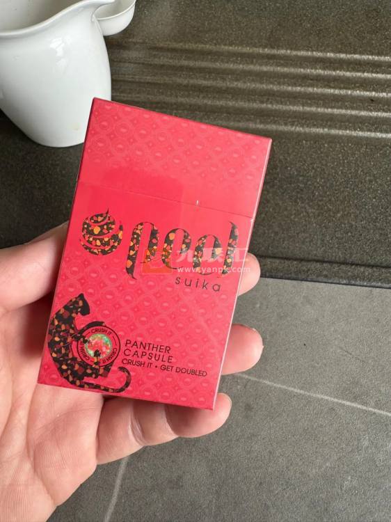 百乐(西瓜)相册