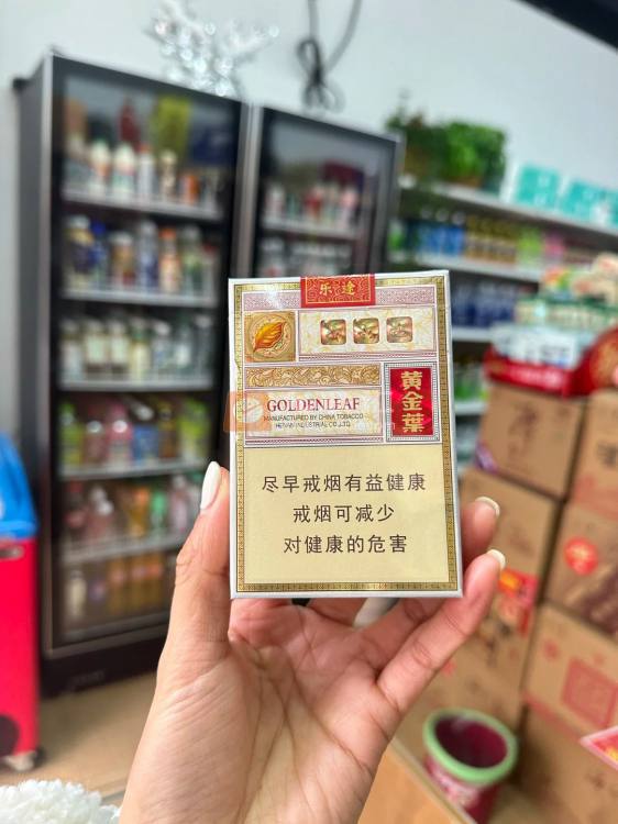 黄金叶(乐途中支)相册