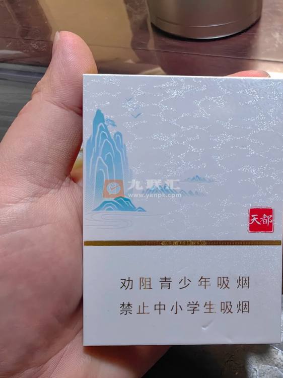 黄山(天都中支)相册