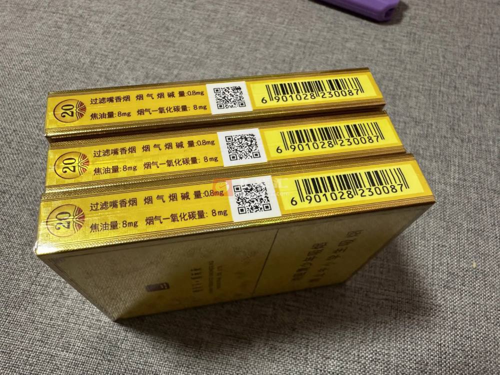天子(黄中支)相册