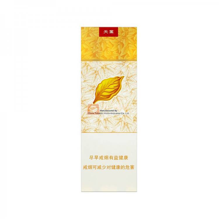 黄金叶(软天叶)相册