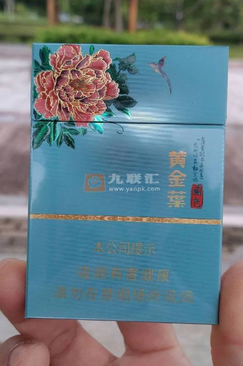 黄金叶(牡丹国色双中支)相册