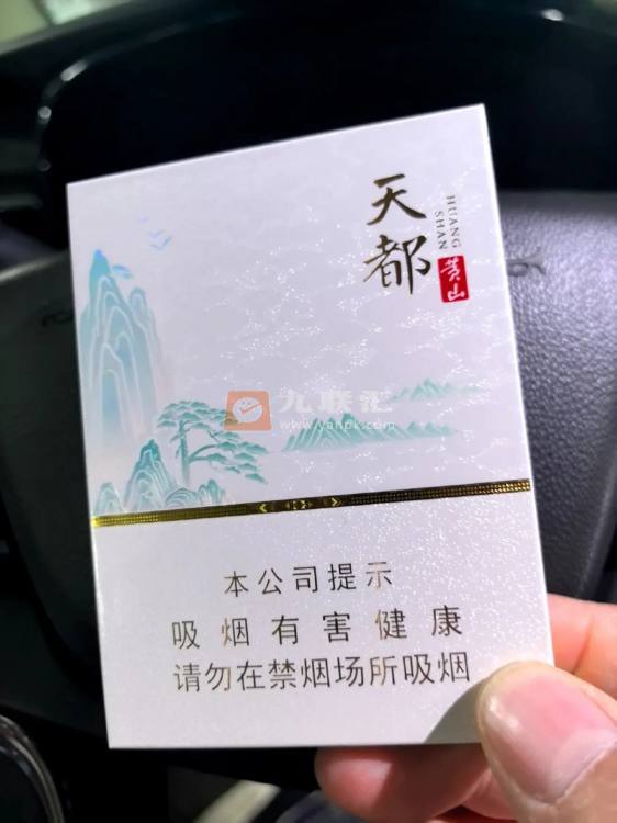 黄山(天都中支)相册