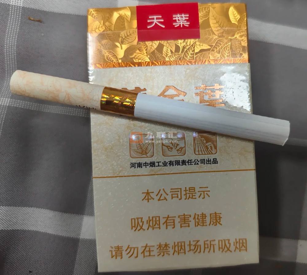 黄金叶(软天叶)相册