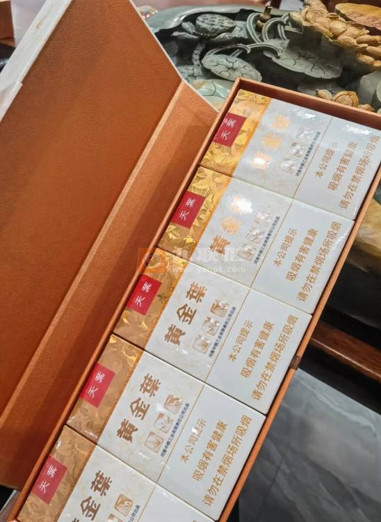 黄金叶(软天叶)相册
