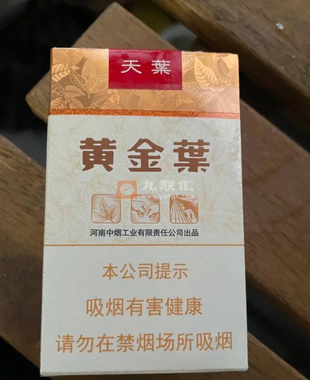 黄金叶(软天叶)相册