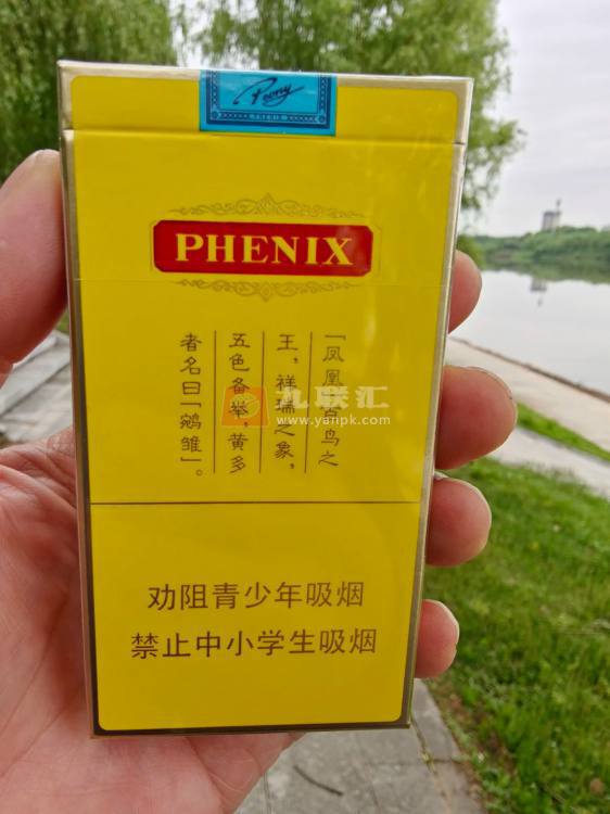 牡丹(凤凰细支)相册