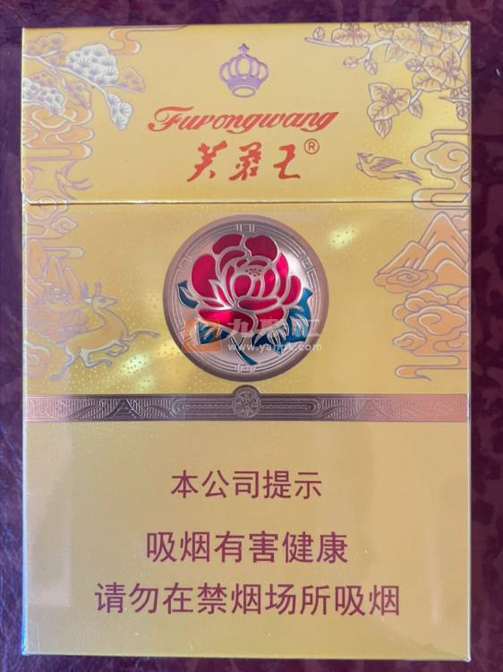 芙蓉王(荣耀中支)相册
