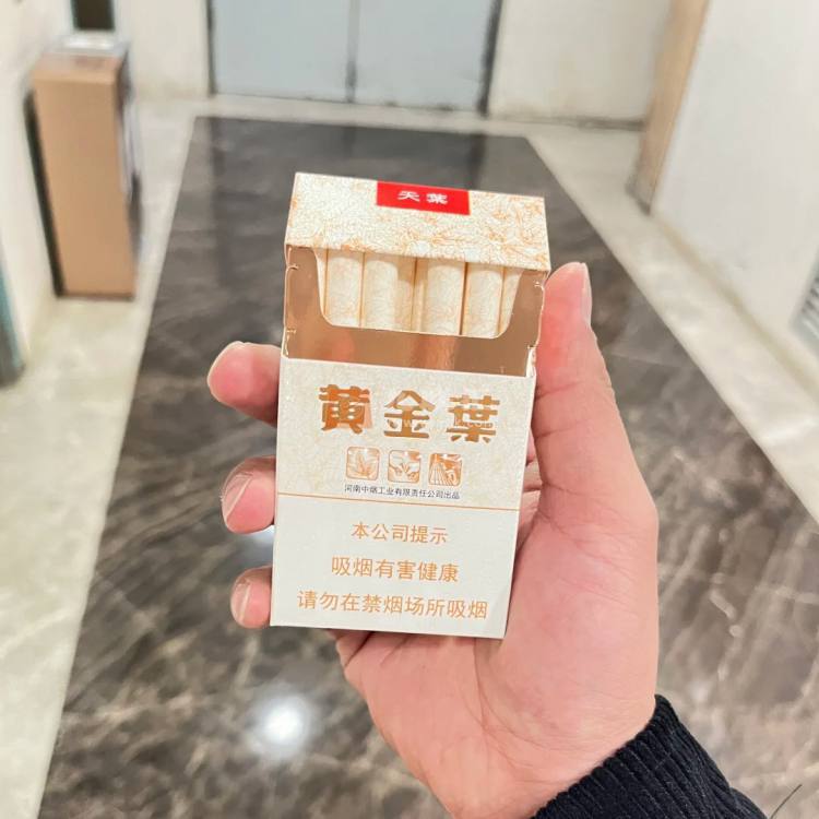 黄金叶(天叶)相册
