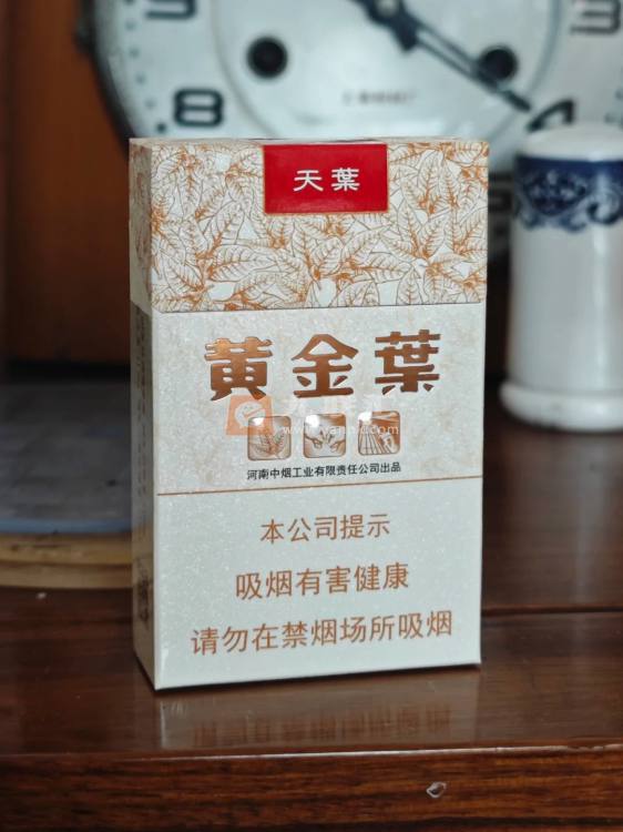 黄金叶(天叶)相册