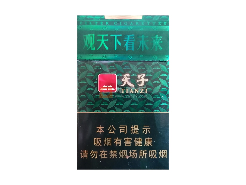天子(高光中支)相册