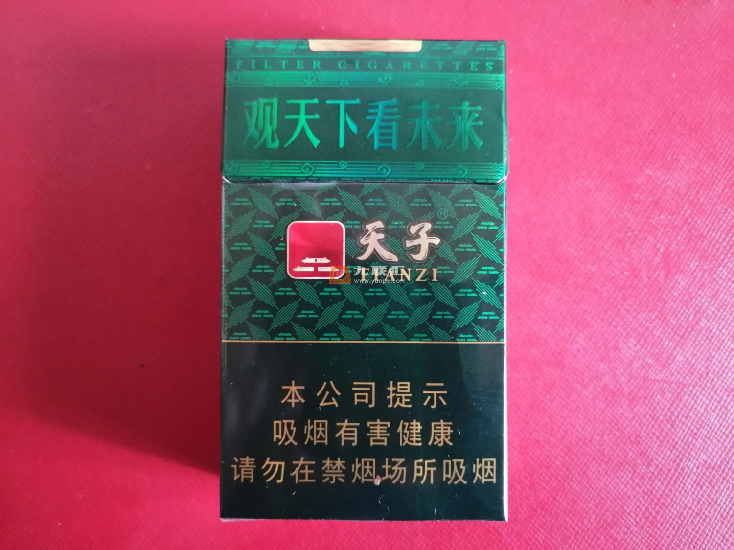 天子(高光中支)相册