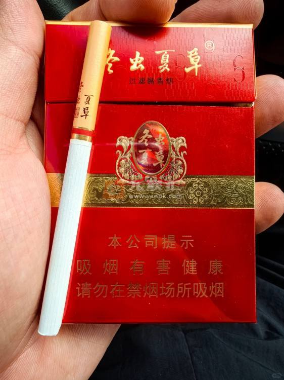 冬虫夏草(红中支)相册