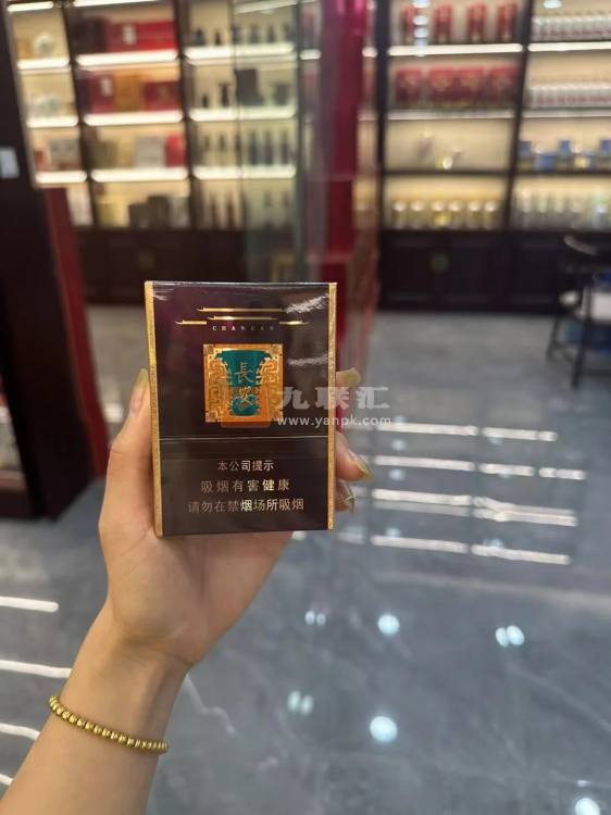 好猫(丝路长安)相册