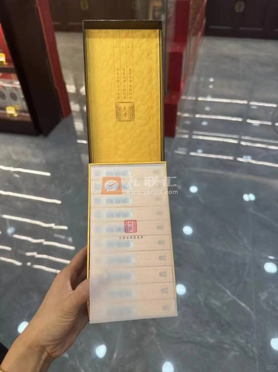 好猫(丝路长安)相册