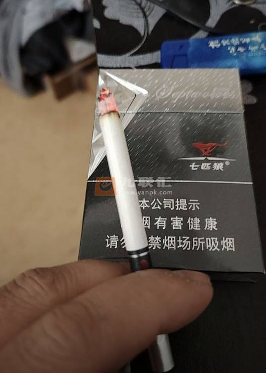 七匹狼(银中支)相册
