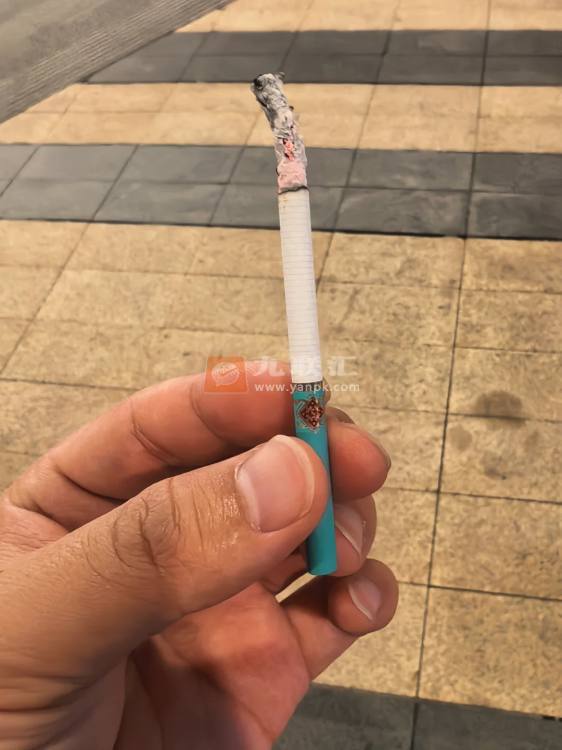 冬虫夏草(天边细支)相册