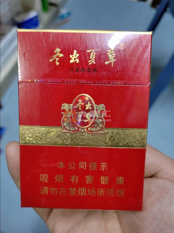 冬虫夏草(红中支)相册