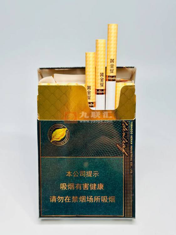 黄金叶(蓝调中支)相册