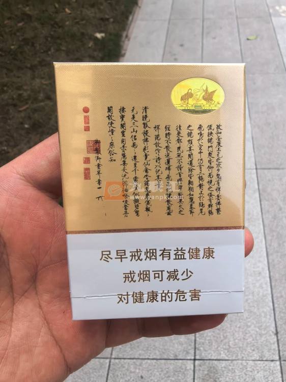 白沙(瑞中支)相册