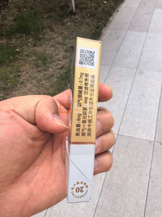 白沙(瑞中支)相册
