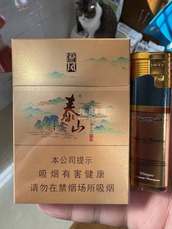 泰山(儒风双中支)相册