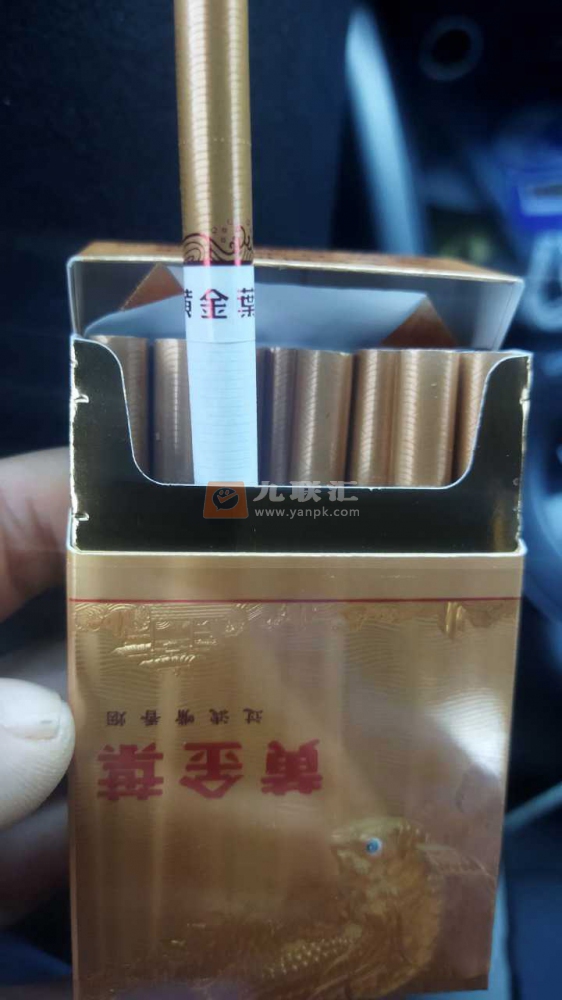 黄金叶(硬金)相册