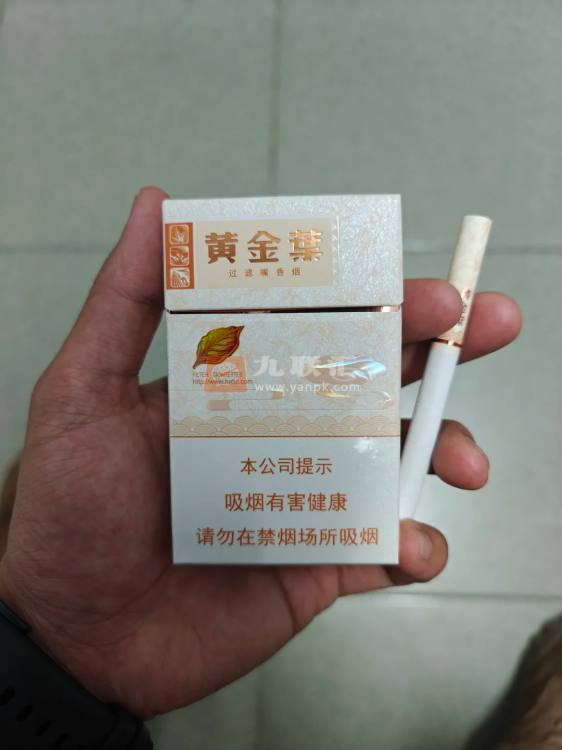 黄金叶(天香中支)相册