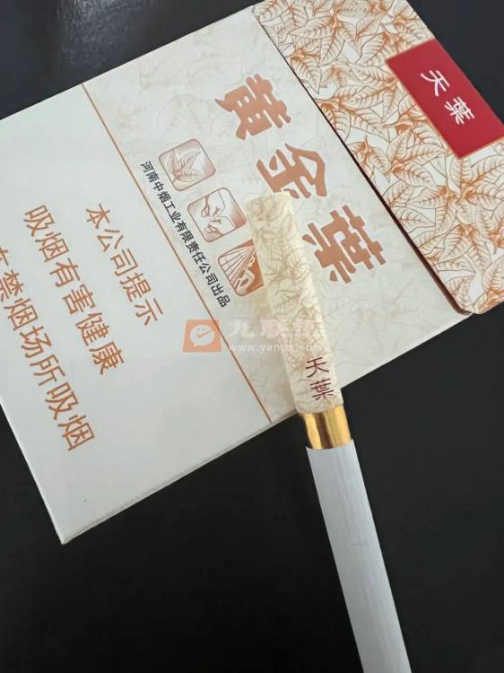 黄金叶(天叶中支)相册