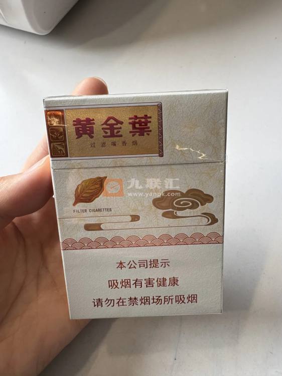 黄金叶(天香中支)相册