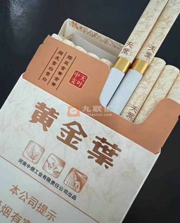 黄金叶(天叶中支)相册