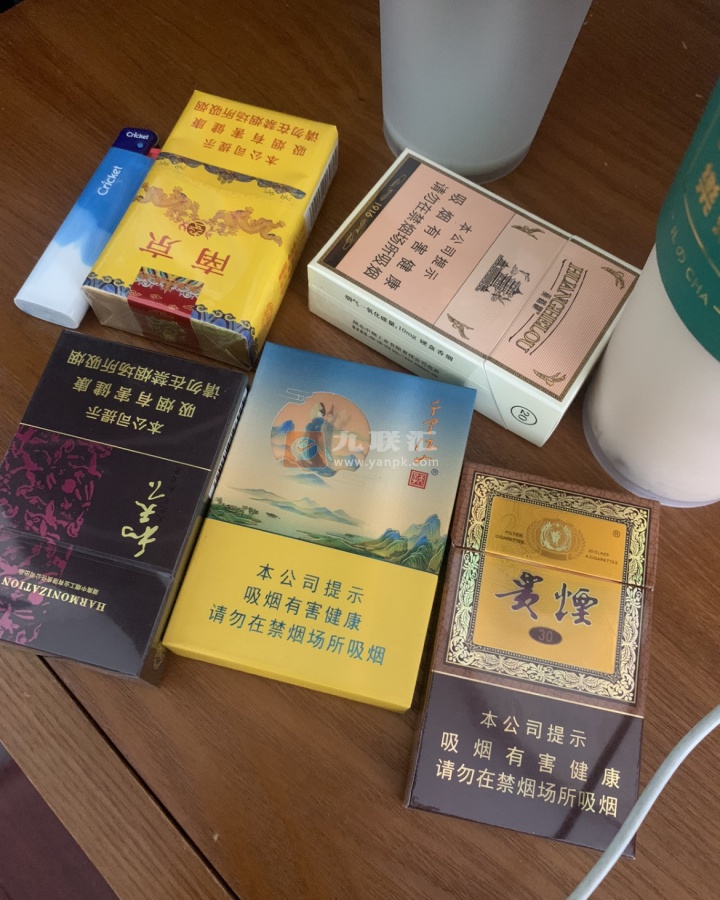 天子(千里江山中支)相册