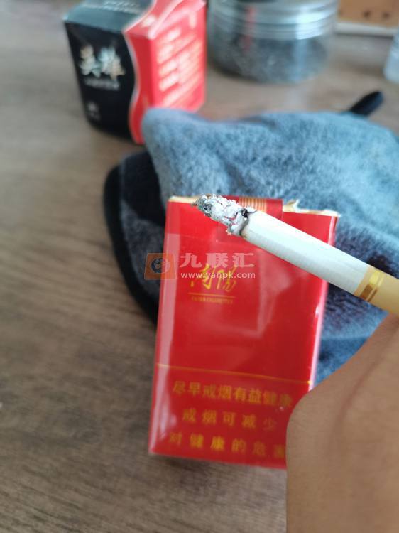 黄金叶(软红南阳)相册