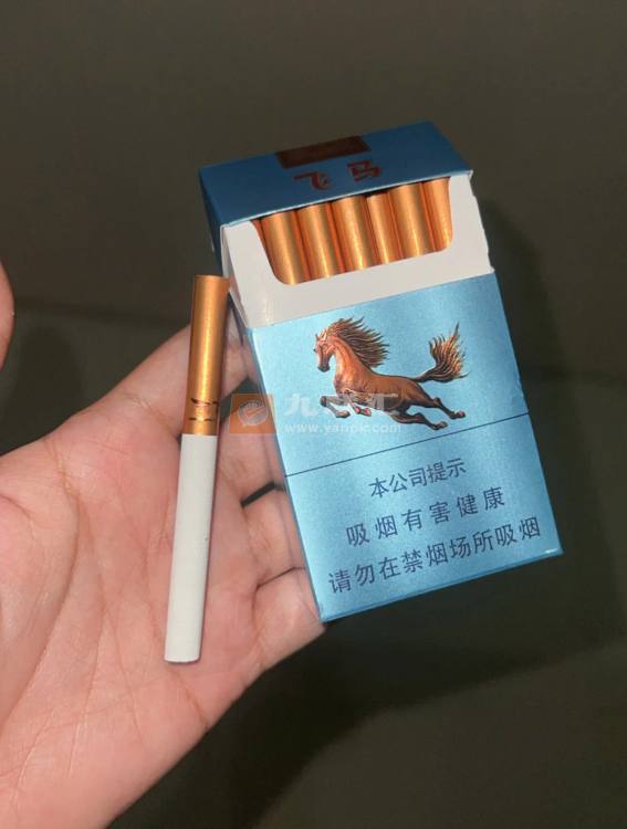 牡丹(飞马)相册