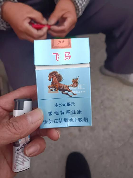 牡丹(飞马)相册