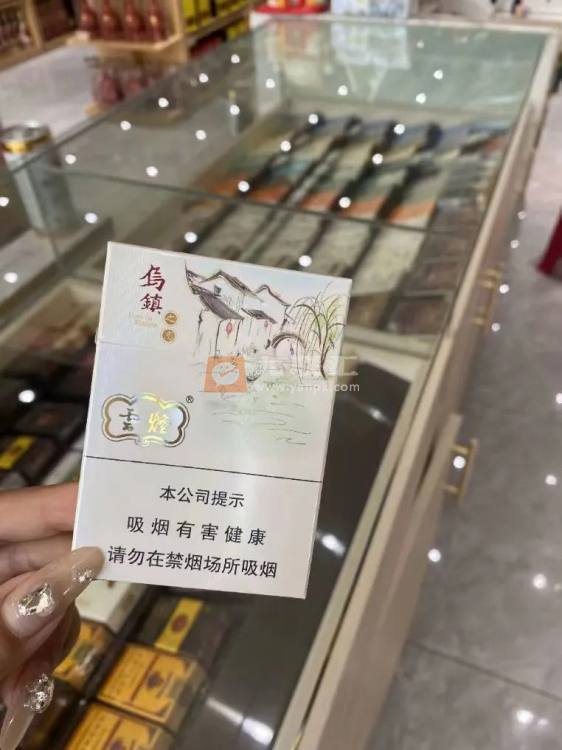 云烟(乌镇之恋中支)相册