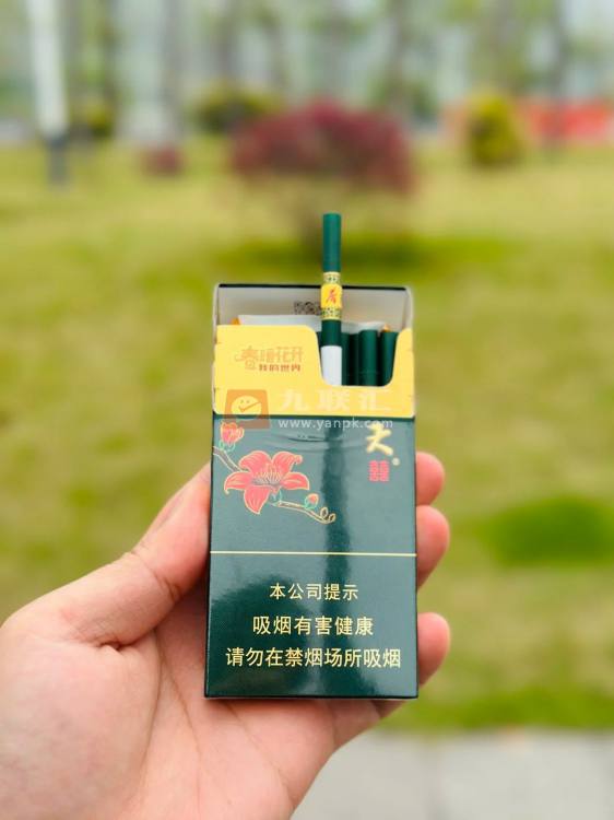 双喜(春天细支)相册