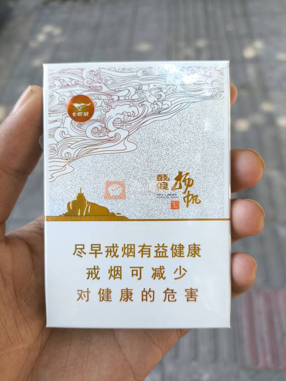 七匹狼(鼓浪扬帆)相册