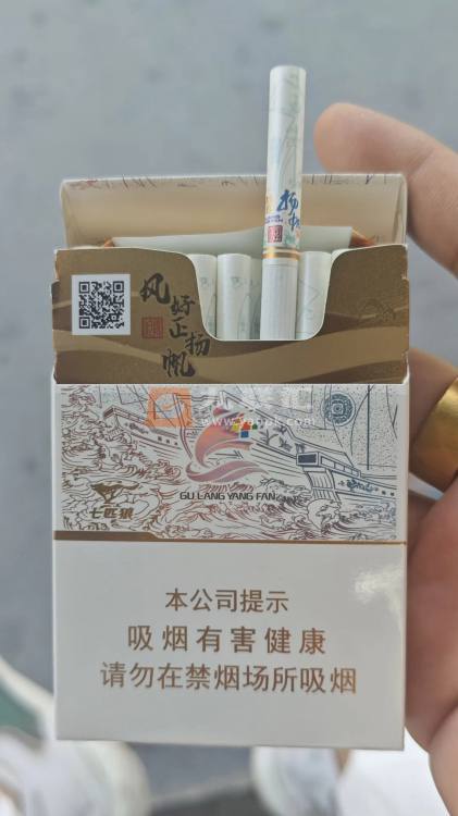 七匹狼(鼓浪扬帆)相册