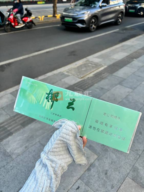 三沙(椰王绿)相册
