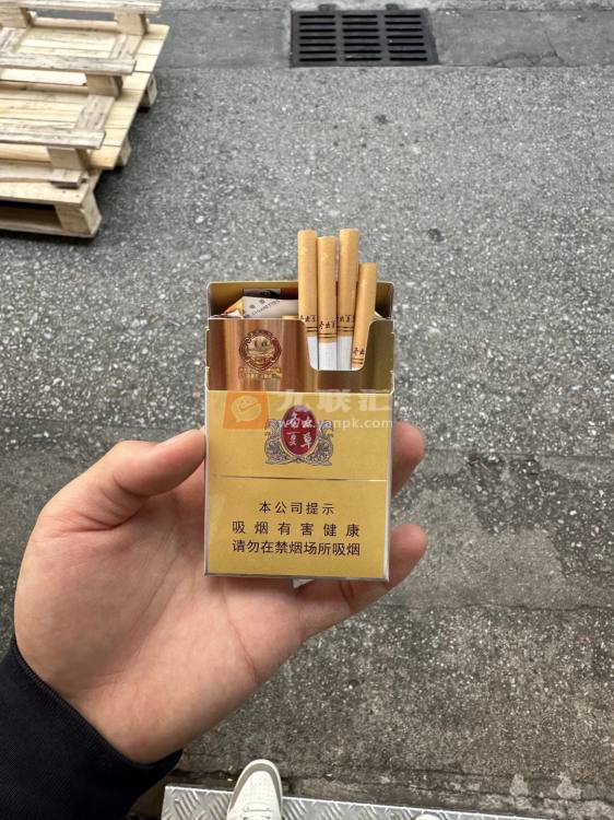 冬虫夏草(金中支)相册