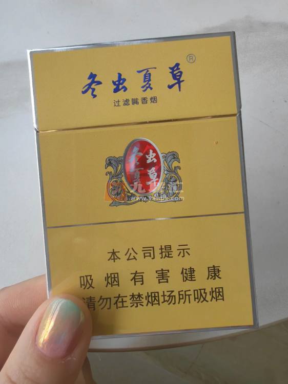 冬虫夏草(金中支)相册