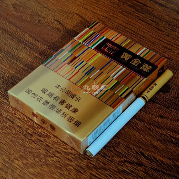 黄金叶(黄金中支)相册 